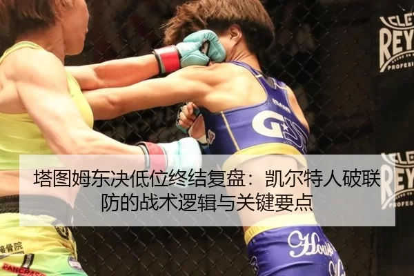 塔图姆东决低位终结复盘：凯尔特人破联防的战术逻辑与关键要点