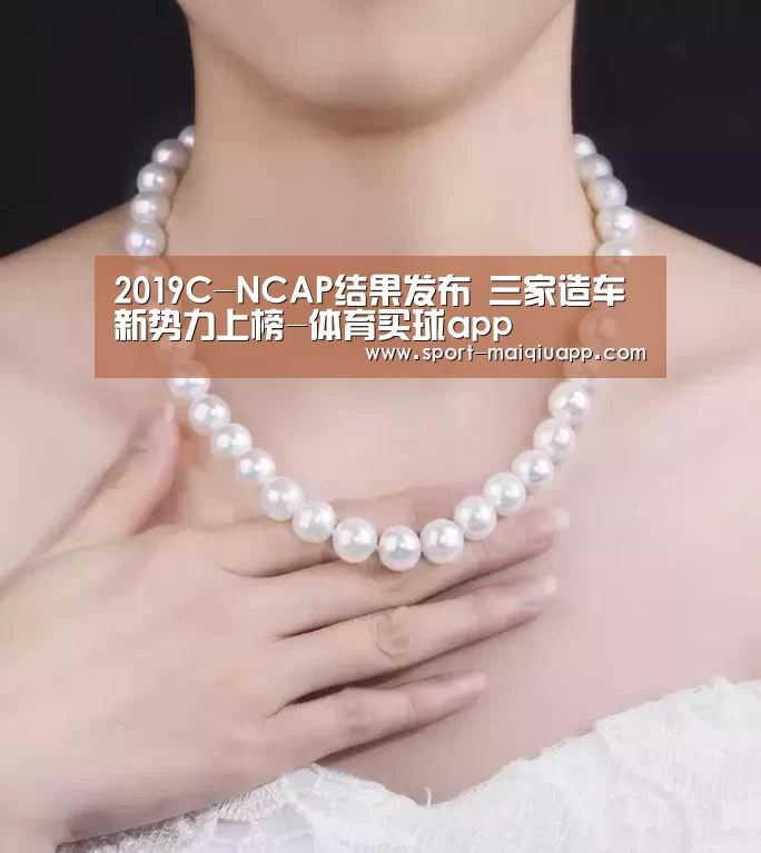 2019C-NCAP结果发布 三家造车新势力上榜-体育买球app(图3) 体育买球网页版
